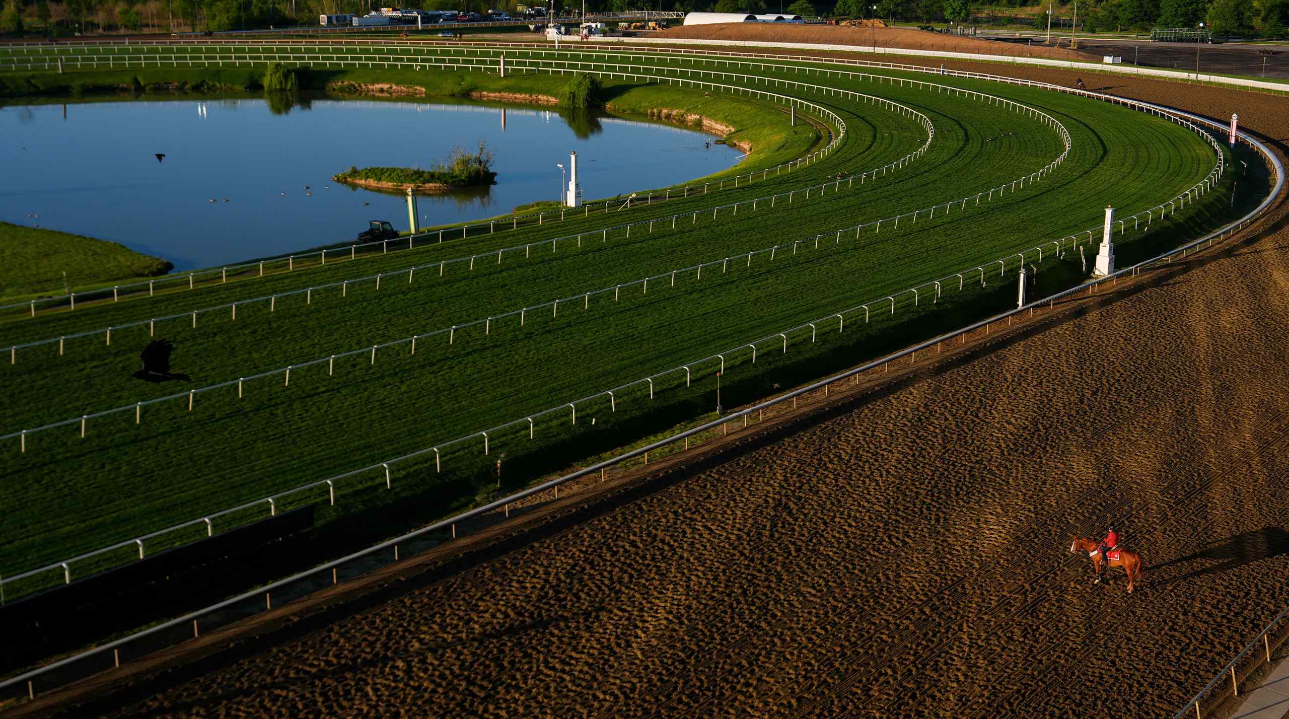 Does the Preakness Still Matter Without Triple Crown Drama?